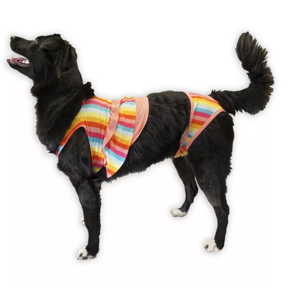 Other - 🆕Stripped Multicolor Woof Bathing Suit for Dogs S🆕